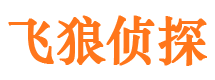 汶上侦探公司